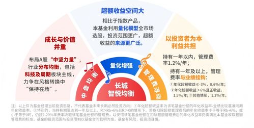 穿越经济转型周期，如何锚定成长中坚力量